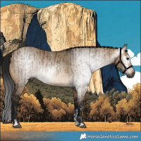 Horse Color:Gray Brown Dun Tobiano and Gray Brown Dun