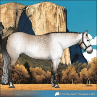 Horse Color:Gray Brown Dun Tobiano  and Gray Brown Dun 