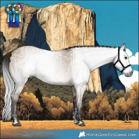 Horse Color:Gray Brown Dun Tobiano  and Gray Brown Dun 