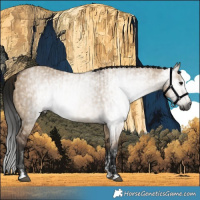 Horse Color:Gray Brown Dun Tobiano  and Gray Brown Dun 