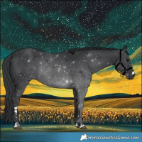 Horse Color:Black 
