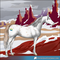 Horse Color:White Spotted Chestnut Sabino