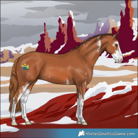 Horse Color:Chestnut Sabino 