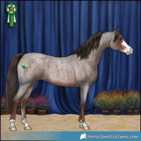 Horse Color:Liver Red Roan Sabino 