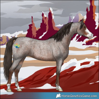 Horse Color:Liver Red Roan Sabino 