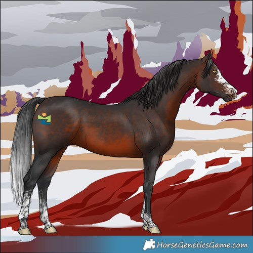 Horse Color:Brown Sabino Tobiano 