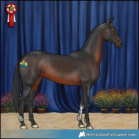 Horse Color:Brown Tobiano 