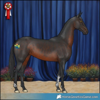 Horse Color:Brown Tobiano 