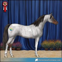 Horse Color:Liver Red Roan Tobiano 