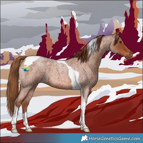 Horse Color:Red Roan Tobiano 