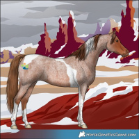 Horse Color:Red Roan Tobiano 