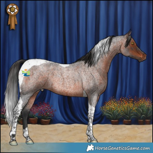 Horse Color:Brown Roan Tobiano 