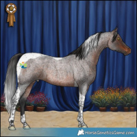 Horse Color:Brown Roan Tobiano 