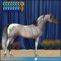 Horse Color:Brown Roan Tobiano 