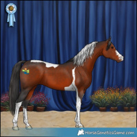 Horse Color:Brown Sabino Tobiano 