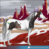 Horse Color:Brown Splash Tobiano Rabicano 
