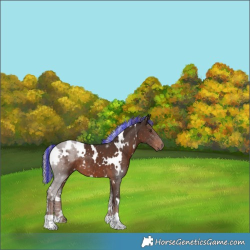 Horse Color:Painted White Spotted Liver Chestnut Mushroom 