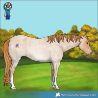Horse Color:Red Roan