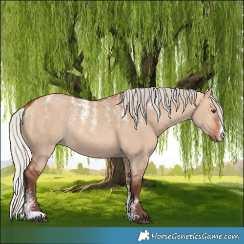Horse Color:Powder White Silver Bay Dun Rabicano 