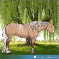 Horse Color:Powder White Silver Bay Dun Rabicano