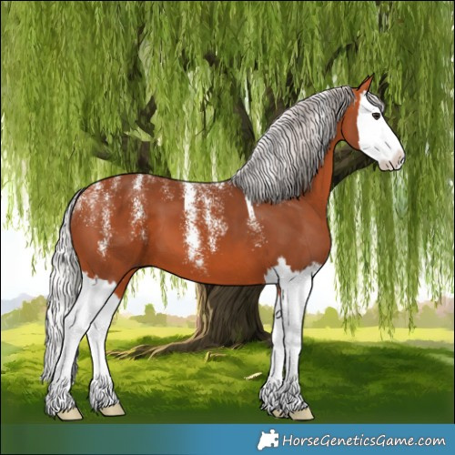Horse Color:Powder White Silver Bay Splash 