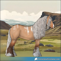 Horse Color:Powder White Silver Bay Dun 