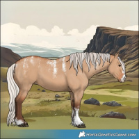 Horse Color:Powder White Silver Bay Dun 