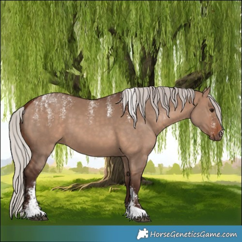 Horse Color:Powder White Silver Brown Dun