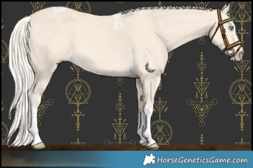 Horse Color:Cremello Tobiano 