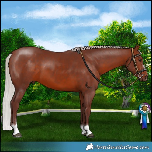 Horse Color:Chocolate Silver Brown 