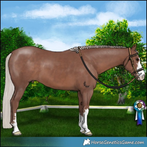 Horse Color:Chocolate Silver Black 