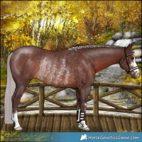 Horse Color:Chocolate Silver Brown Rabicano 