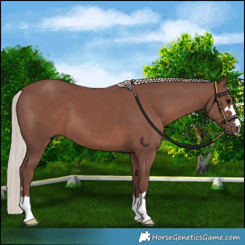 Horse Color:Chocolate Silver Black 