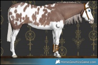 Horse Color:Chocolate Silver Black Splash Blanket 