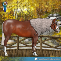 Horse Color:Chocolate Silver Brown
