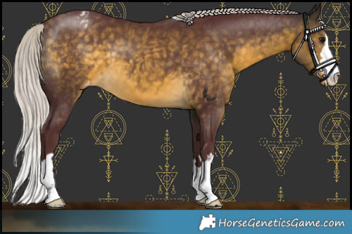 Horse Color:Chocolate Silver Buckskin Varnish 