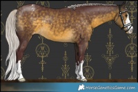Horse Color:Chocolate Silver Buckskin Varnish 
