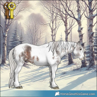 Horse Color:White Spotted Silver Brown Tobiano