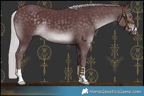 Horse Color:Chocolate Silver Black Chinchilla