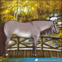 Horse Color:Chocolate Smoky Grullo Chinchilla