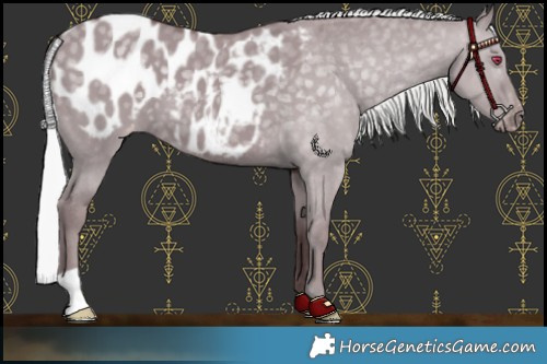 Horse Color:Chocolate Silver Grullo Chinchilla Blanket 