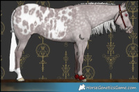 Horse Color:Chocolate Silver Grullo Chinchilla Blanket 