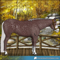 Horse Color:Chocolate Silver Black Chinchilla Sabino 