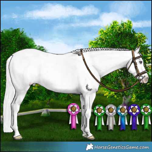 Horse Color:Chocolate Silver Smoky Black Chinchilla Pearl Sabino Varnish 