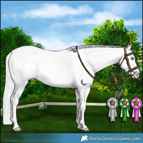 Horse Color:Chocolate Silver Smoky Black Chinchilla Pearl Sabino Appaloosa 