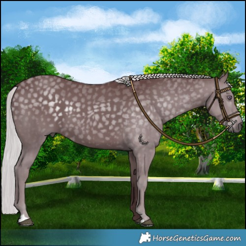 Horse Color:Chocolate Silver Black Chinchilla 