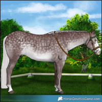 Horse Color:Chocolate Silver Black Chinchilla Sabino 