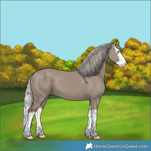 Horse Color:White Spotted Silver Grullo Splash 