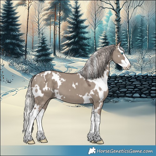 Horse Color:White Spotted Silver Grullo Splash 