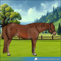 Horse Color:Chestnut 